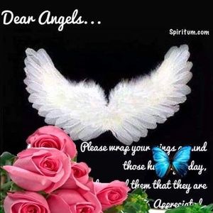 Meet your Posher, Pauline